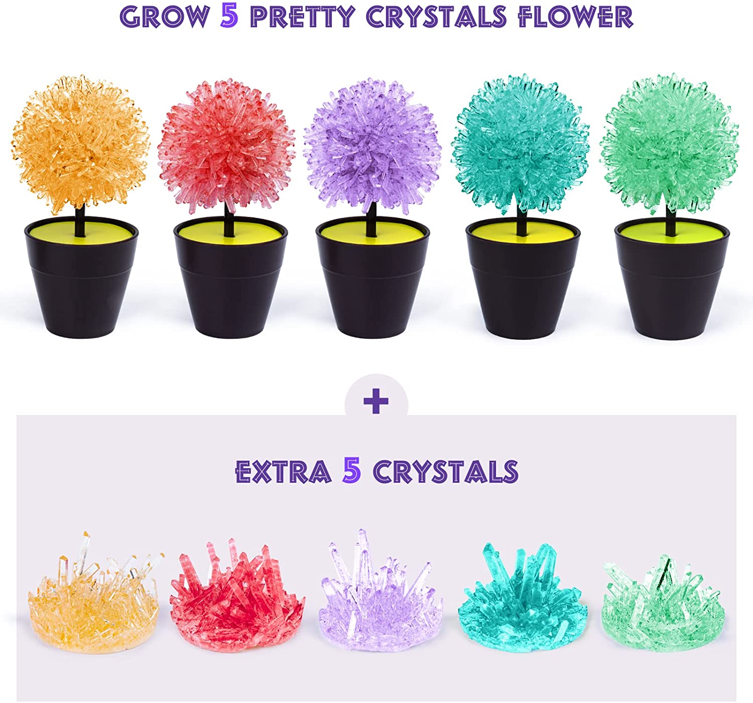 Magic Tree Crystal Growing Kit