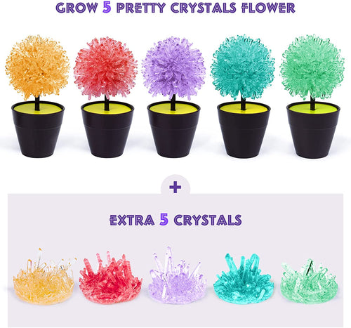 AMOSTING Crystal Growing Kit, STEM Projects for Kids-5pcs