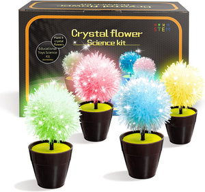 AMOSTING Crystal Growing Kit, STEM Projects for Kids-4pcs