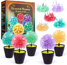Load image into Gallery viewer, AMOSTING Crystal Growing Kit, STEM Projects for Kids-5pcs