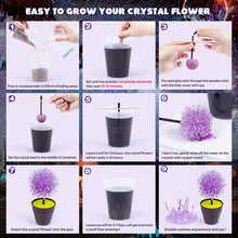 Load image into Gallery viewer, AMOSTING Crystal Growing Kit, STEM Projects for Kids-5pcs
